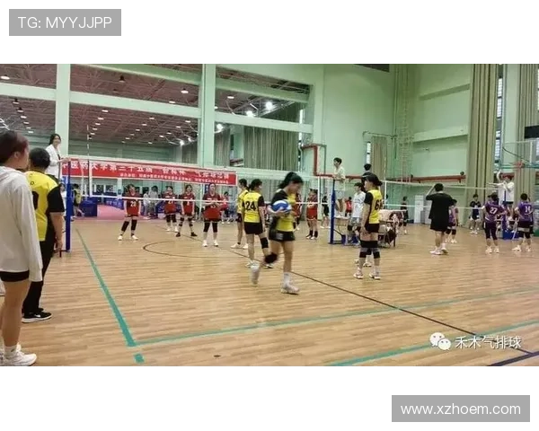 北京排球队转换策略分析及其对比赛成绩的影响探讨