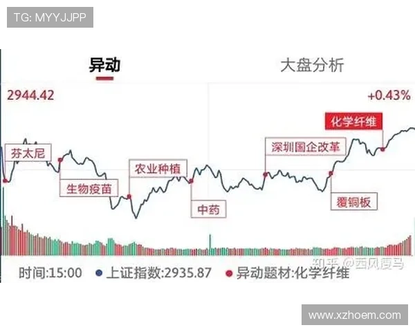 广州排球队与杭州排球队赛后复盘分析比赛节奏与战术表现 广州排球队与杭州排球队赛后复盘分析比赛节奏与战术表现