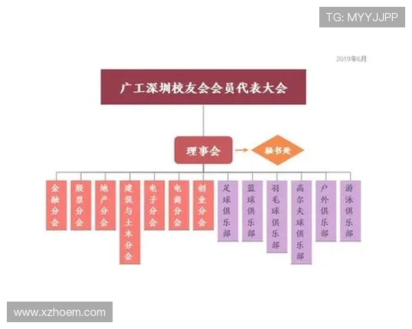 深圳篮球队总决赛状态分析与表现评估展望未来发展方向