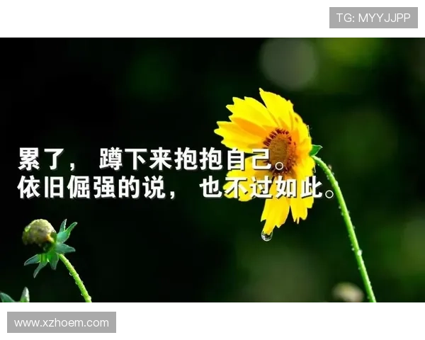 足球明星的励志语录与人生哲学启示你我前行的力量 足球明星的励志语录与人生哲学启示你我前行的力量